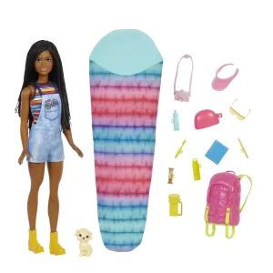 Barbie Doll And Accessories, It Takes Two “Brooklyn” Camping Doll And 10  Pieces