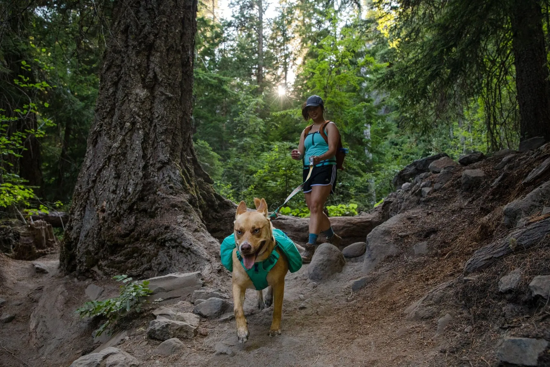 Ruffwear Front Range Day Pack