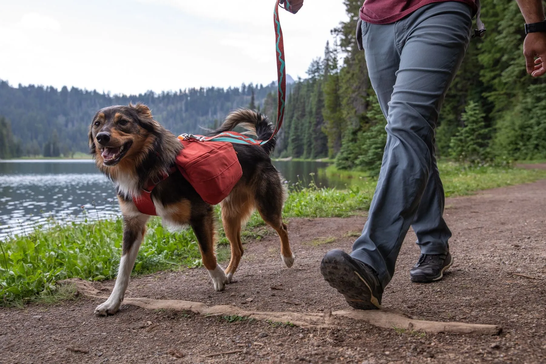 Ruffwear Front Range Day Pack