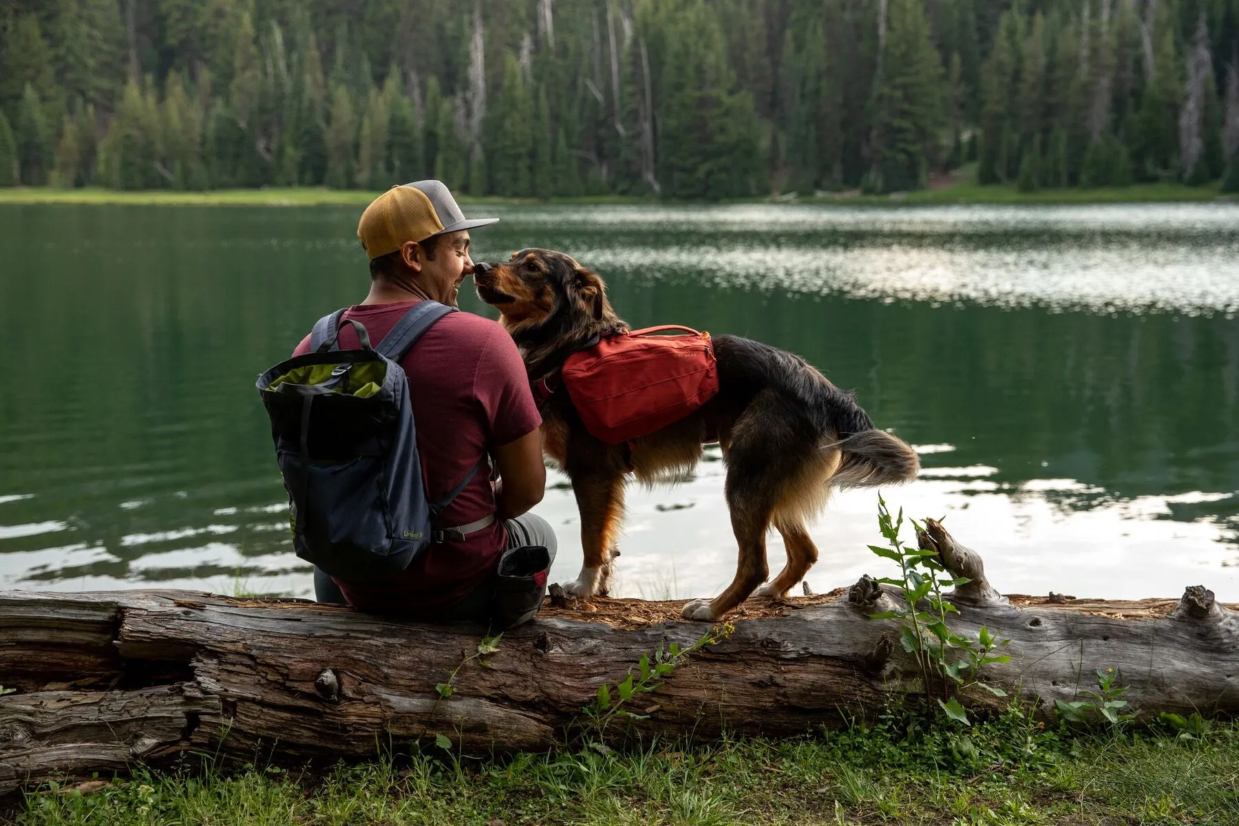 Ruffwear Front Range Day Pack