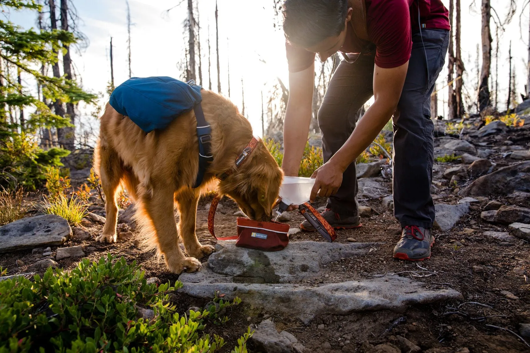 Ruffwear Front Range Day Pack